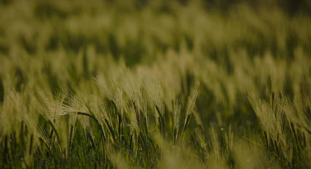 (1074 × 585 px) (1074 × 585 px)