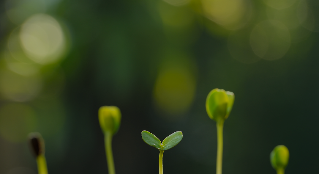 (1074 × 585 px) (8) (1074 × 585 px) (8)