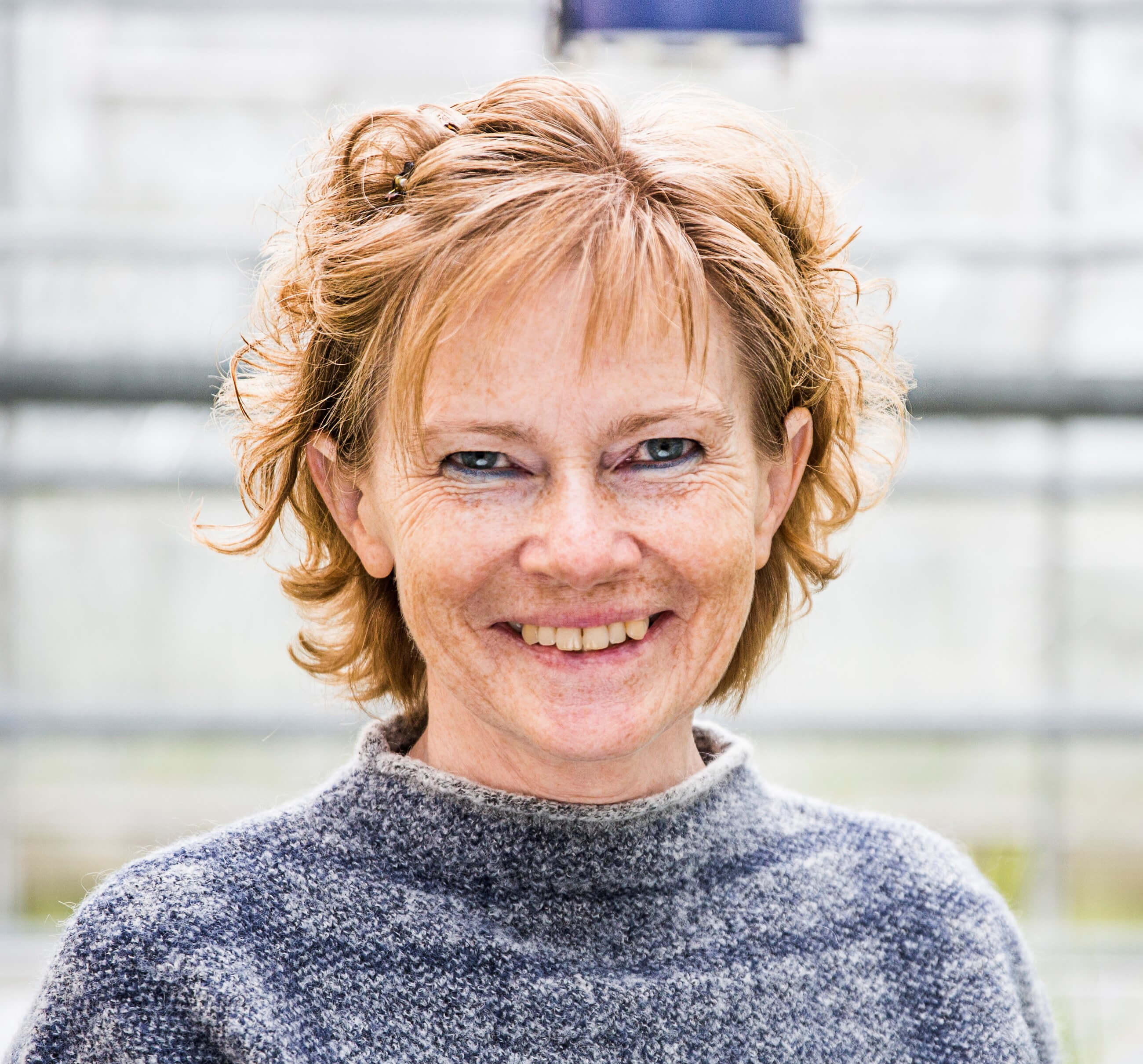 Birte Boelt visitkort