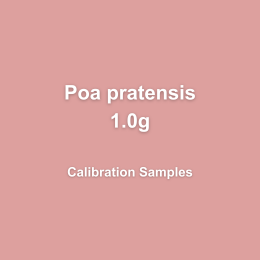 Copy of Handbook Arial (1)