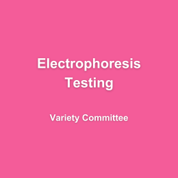 Copy of Handbook Arial (1)