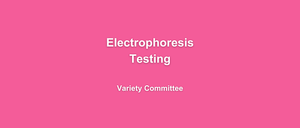 Copy of Handbook Arial (1)