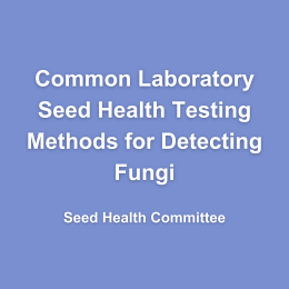 Copy of Handbook Arial