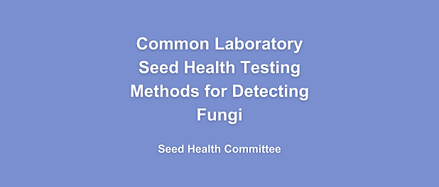 Copy of Handbook Arial