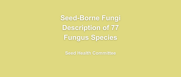 Copy of Handbook Arial (3)