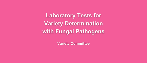 Copy of Handbook Arial (3)