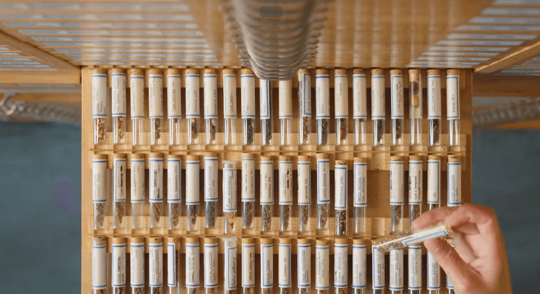 Seed Quality Testing Standards & Seed Health Testing | ISTA ...