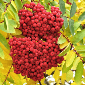 Screenshot 2026 04 17 145542